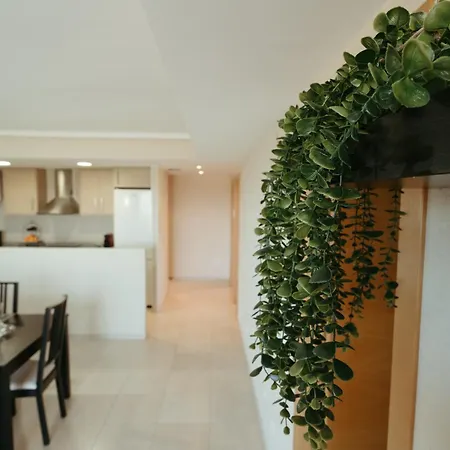 Apartamento Terrazas Al Mar Apartment